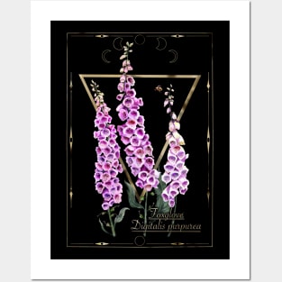 Foxglove magical herb Posters and Art